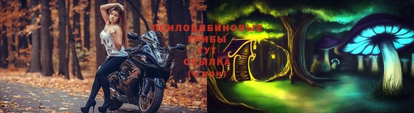 МДПВ Покров