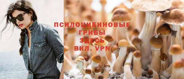 ешки Пересвет