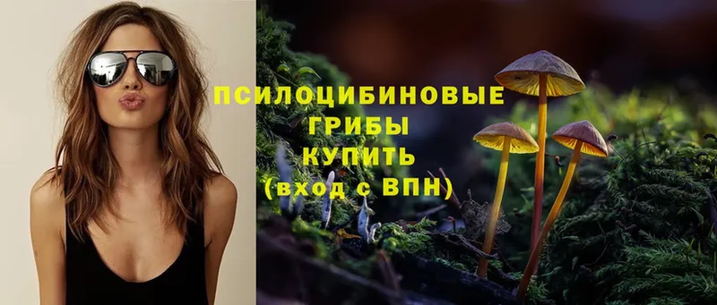 Галлюциногенные грибы Psilocybe  Богданович 