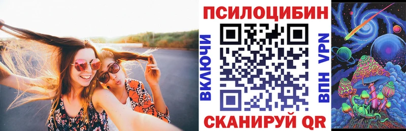 блэк спрут как зайти Богданович Галлюциногенные грибы GOLDEN TEACHER