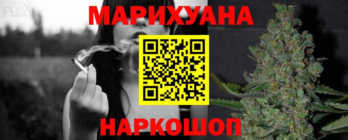 Бошки Шишки планчик Богданович